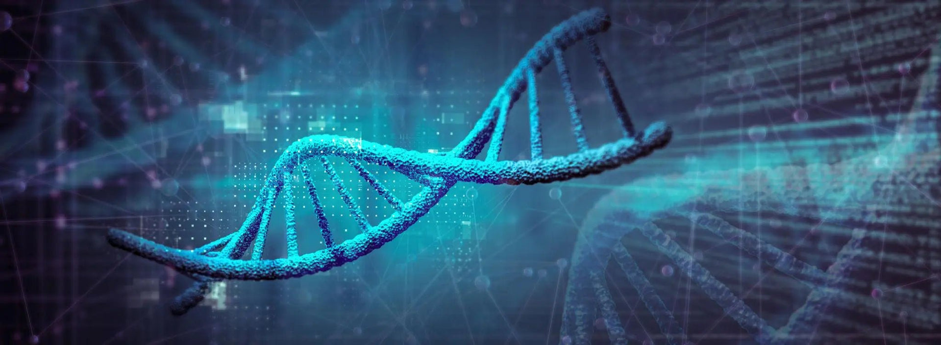 Why GLP-1 Results Vary | Personalized Weight Loss with GLP-1 | RightWell - RightWell