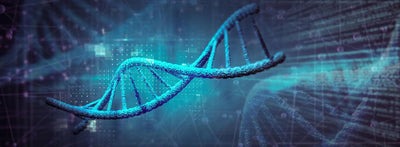 Why GLP-1 Results Vary | Personalized Weight Loss with GLP-1 | RightWell