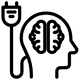 ELECTROLYTE + NERVOUS SYSTEM SUPPORT