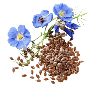 FLAX SEED